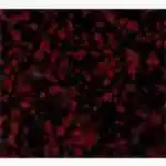 Granix Mutfak Tezgahları 10