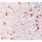 Granix Mutfak Tezgahları 5