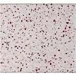 Mermerit Mutfak Tezgahları 3