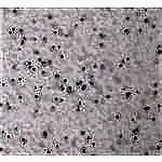 Mermerit Mutfak Tezgahları 11