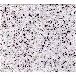 Akrikor Mutfak Tezgahları 9