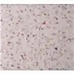 Akrikor Mutfak Tezgahları 10